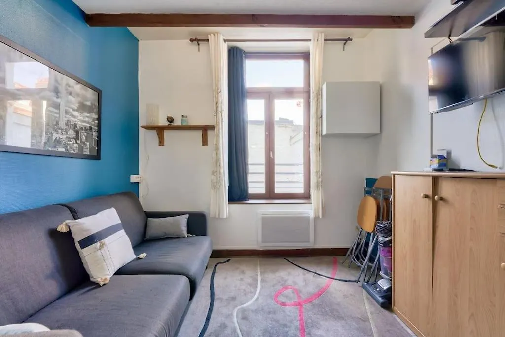Cosy Studio A Prox Du Musee D'Histoire Naturelle Apartment Lille