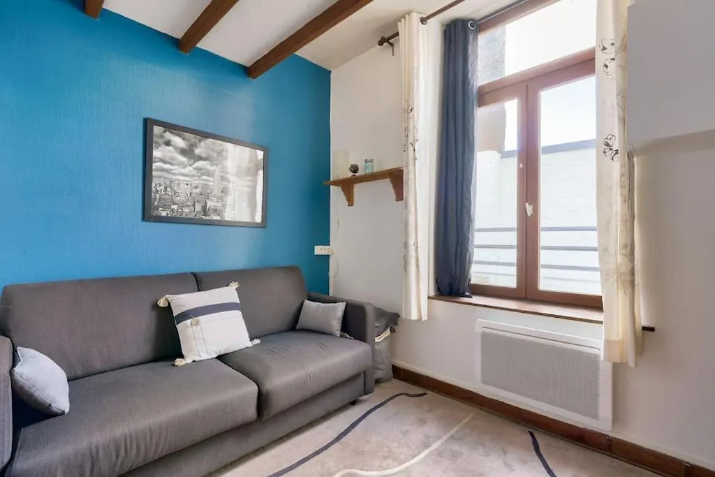 Cosy Studio A Prox Du Musee D'Histoire Naturelle Apartment Lille 0*,  France